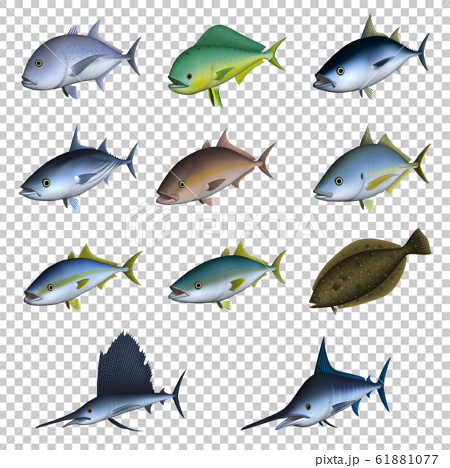 海水魚 イラスト 3d セット3のイラスト素材