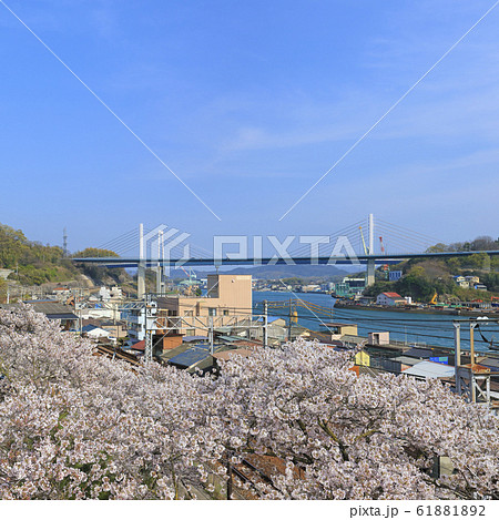 新尾道大橋、尾道大橋（ 浄土寺南側から ） 61881892