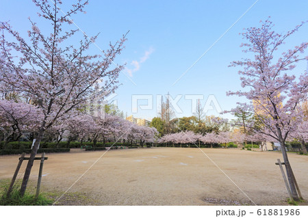 靱公園 四ツ橋筋側広場 61881986