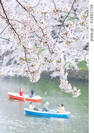 東京千鳥ヶ淵 手漕ぎボートと桜の風景 東京千鳥ヶ淵 手漕ぎボートと桜の風景 61882738