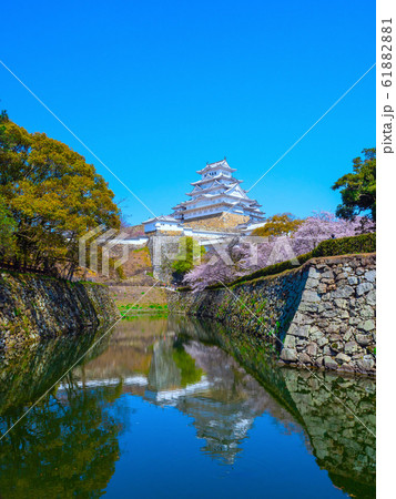 春爛漫の姫路城 61882881