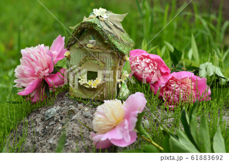 Peony flowers with fairy cottage. Lovely miniature house for greeting cards, wedding or birthday concept. Vintage summer background Peony flowers with fairy cottage. Lovely miniature house for greeting cards, wedding or birthday concept. Vintage summer background 61883692