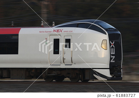 特急成田エクスプレス（E259系電車） 61883727