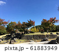 公園　秋 61883949