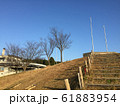 小高い丘 61883954