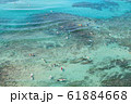 ワイキキビーチ 61884668