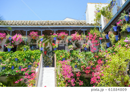 コルドバのパティオ祭り 【スペイン】 コルドバのパティオ祭り 【スペイン】 61884809