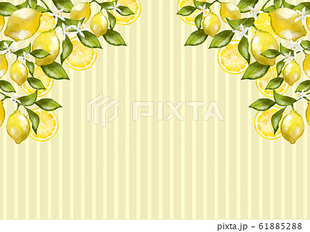 レモン 水彩 フレーム 植物 果実 実 フルーツ 飾り枠 フレーム おしゃれのイラスト素材 6152
