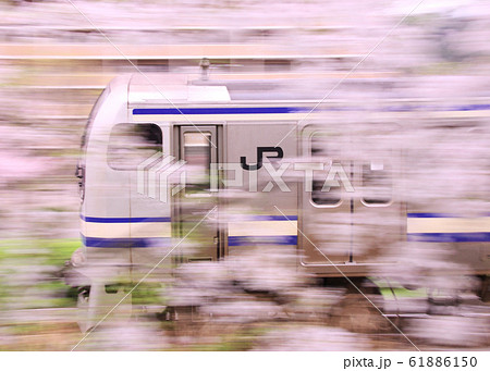 桜の中を走行するJR横須賀線E217系電車 61886150