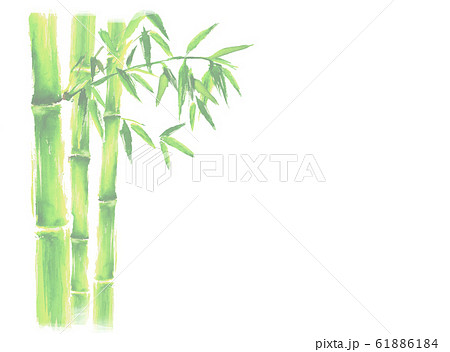 竹　竹林　イラスト　水彩　正月　年賀　手描き　和　 61886184