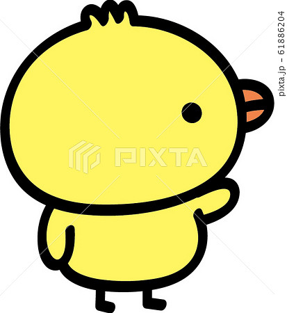 案内するヒヨコ　横むき 61886204