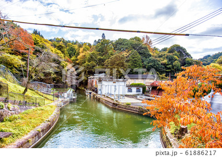 蹴上疏水 (11月 晴れ) 蹴上疏水 (11月 晴れ) 61886217
