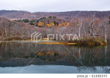 秋の風景。月山の麓、地蔵沼にて（山形県西川町） 61886345