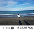 海に向かって 61886700