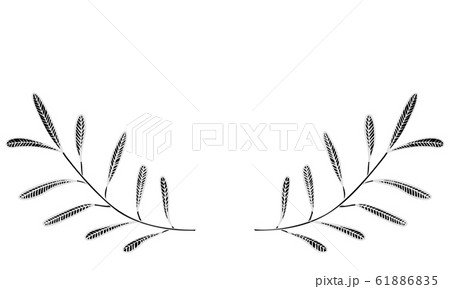 植物のイラスト：見出し飾り：葉っぱ、葉脈、実なし 61886835