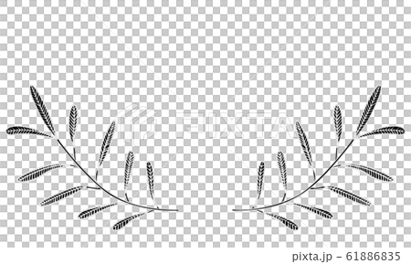 植物のイラスト：見出し飾り：葉っぱ、葉脈、実なし 61886835