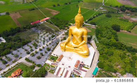Golden buddha statue in buddhism temple with rice 61886868