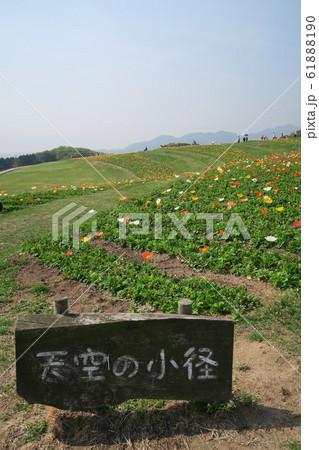 あわじ花さじき 61888190