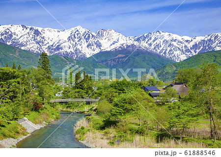 白馬三山と大出吊り橋、長野県北安曇郡白馬村にて 白馬三山と大出吊り橋、長野県北安曇郡白馬村にて 61888546