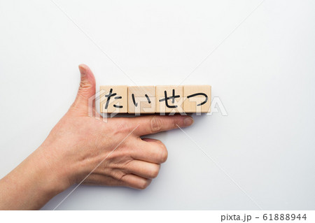 イメージ　たいせつ 61888944