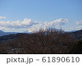 富士山 61890610