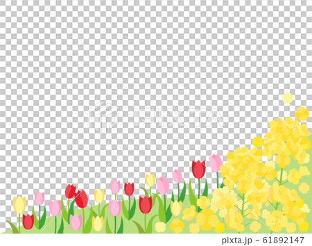 春素材11 菜の花 チューリップ 春素材11 菜の花 チューリップ 61892147