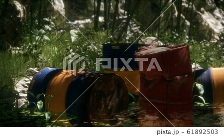 Rusty barrels in green forest 61892503