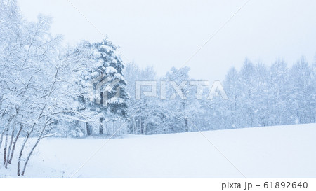 雪原 61892640