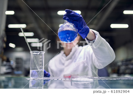 Serious brunette laboratory assistant with petri dish in hands Serious brunette laboratory assistant with petri dish in hands 61892904