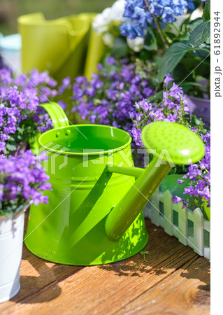 Gardening - Set Of Tools For Gardener And Gardening - Set Of Tools For Gardener And 61892944