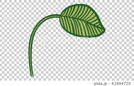 植物のイラスト 葉っぱ 葉脈 原始的なイメージのイラスト素材 6147