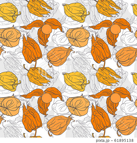 Decorative winter cherry pattern. Vector seamless background. Decorative winter cherry pattern. Vector seamless background. 61895138