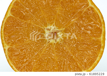 ミカン　せとか　長崎県産 61895229