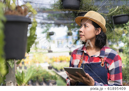 Asian woman is using a tablet to check the vegetation in the Ornamental plant shop 61895409