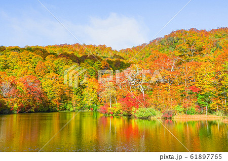 鎌池の紅葉 61897765