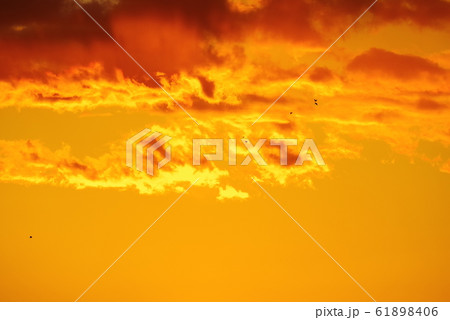 夕日でオレンジ色に染まる雲 61898406