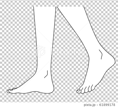 Women's feet - Stock Illustration [61899178] - PIXTA