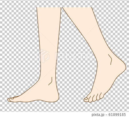 女性の足元 女性の足元 61899185