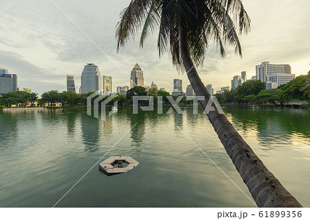 Lake in the city 61899356