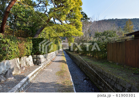 京都・南禅寺別荘群碧雲荘横の放水路 京都・南禅寺別荘群碧雲荘横の放水路 61900301