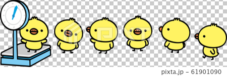 Chick on a scale 61901090