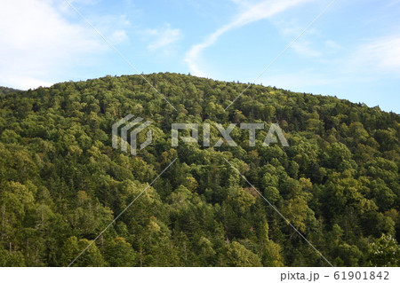 ある山の風景4 ある山の風景4 61901842