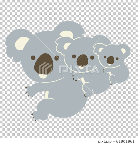 こどもをおんぶしているコアラ こどもをおんぶしているコアラ 61901961