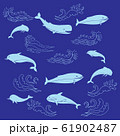 Nautica seamless pattern with sea animals and waves 61902487