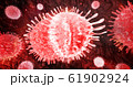 Close up virus spread in the body on microscope 61902924