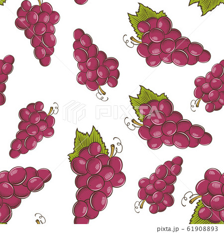 Colored seamless pattern with red grapes in vintage style 61908893