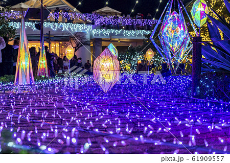 【神奈川県】江ノ島　イルミネーション 61909557