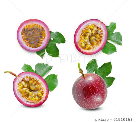 passion fruits top view on white background passion fruits top view on white background 61910163