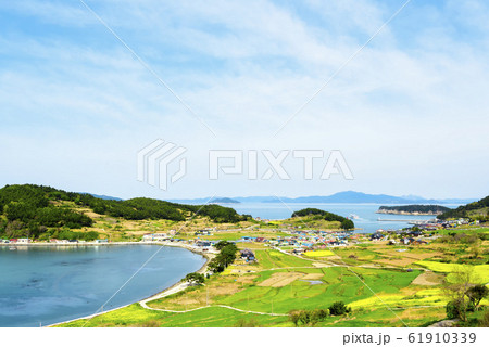 ら 畑 丘陵 61910339