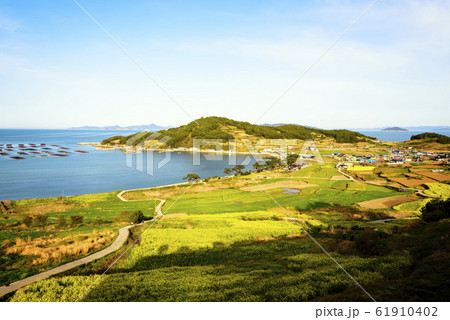 ら 畑 丘陵 61910402